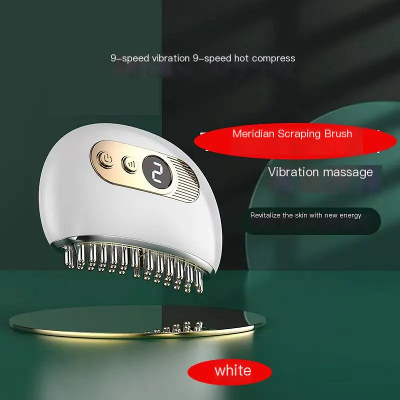 Electric Facial Gua Sha Massager for Beauty Care
